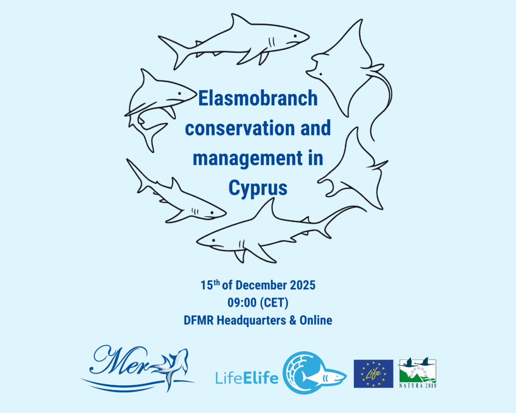 15 dicembre 2025-Gestione della conservazione degli elasmobranchi a Cipro