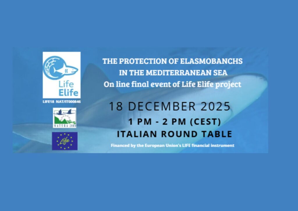 18 dicembre-Tavola rotonda italiana-evento online