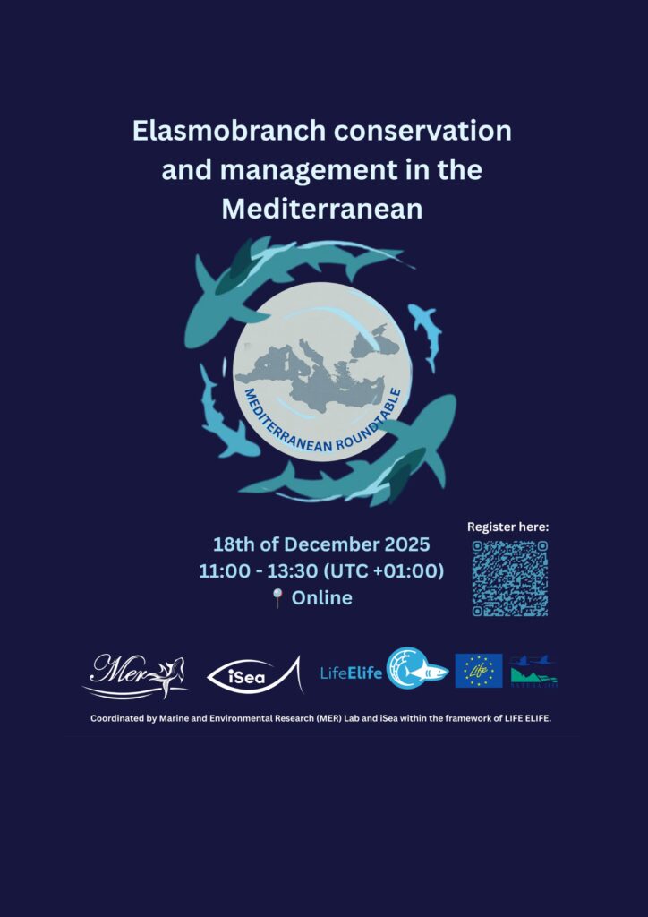 18 Dicembre-tavola rotonda del Mediterraneo