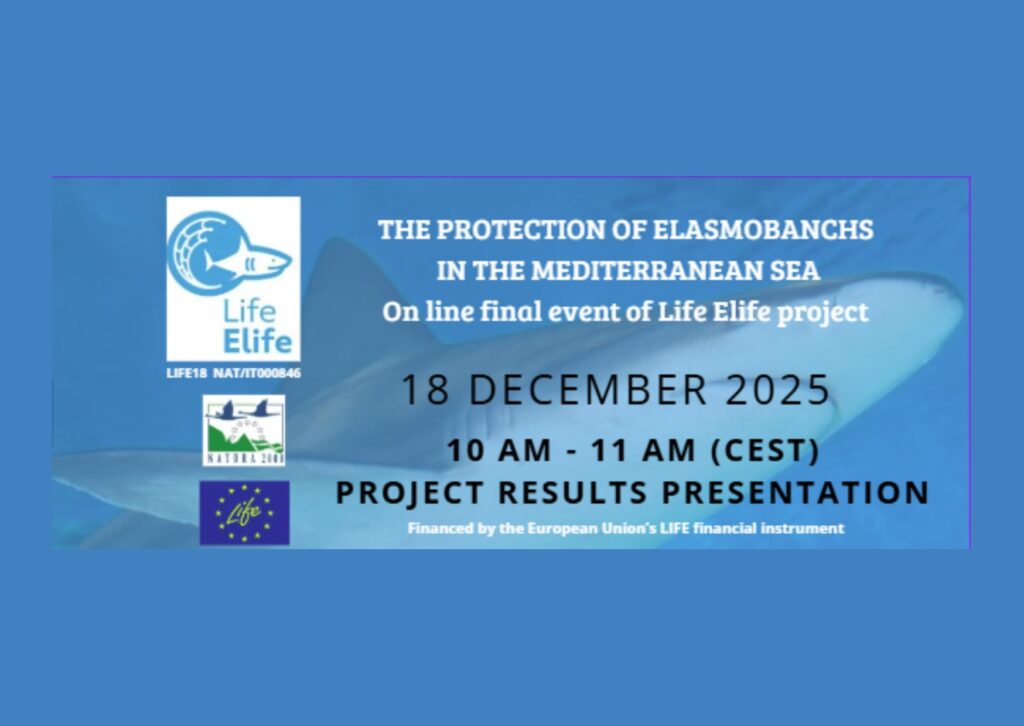 18 Dicembre-Evento finale del progetto Elife-dalle ore 10 alle ore 11-evento online